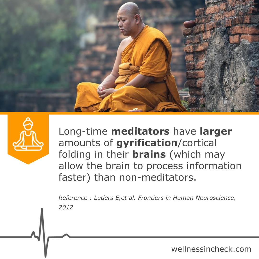 how meditation changes the brain