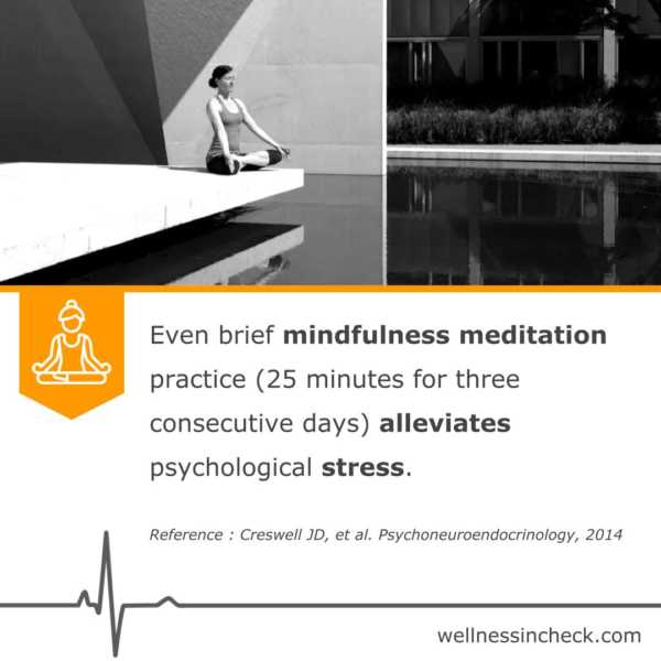 Stress & Brief Mindfulness Meditation - Health And Wellness Tips