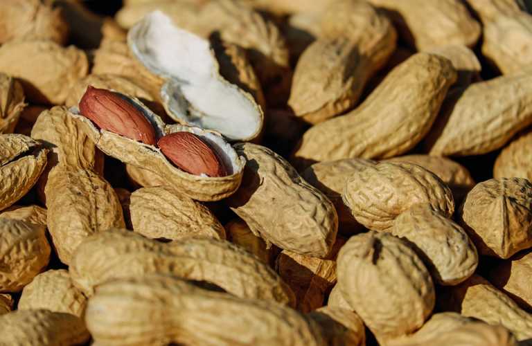 are-peanuts-good-for-you-health-and-wellness-tips